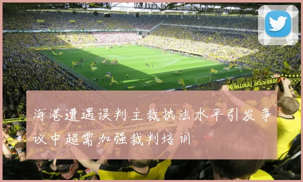 海港遭遇误判主裁执法水平引发争议中超需加强裁判培训