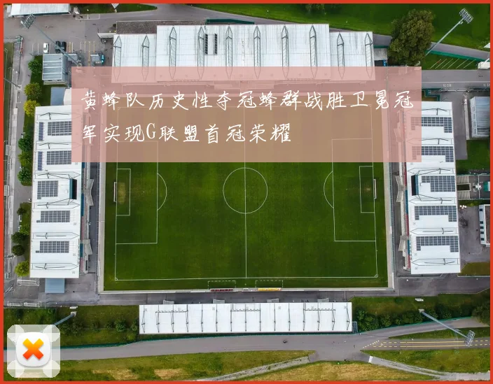 黄蜂队历史性夺冠蜂群战胜卫冕冠军实现G联盟首冠荣耀